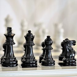 Zuschüsse an Vereine im Pfälzischen Schachbund
